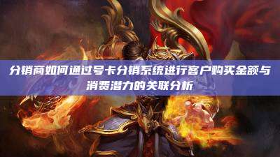 分销商如何通过号卡分销系统进行客户购买金额与消费潜力的关联分析