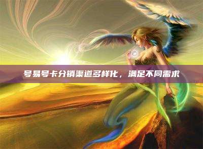 号易号卡分销渠道多样化，满足不同需求
