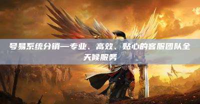 号易系统分销—专业、高效、贴心的客服团队全天候服务