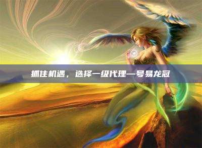抓住机遇,选择一级代理—号易龙冠