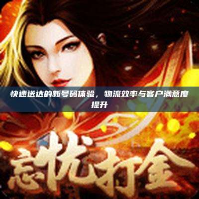 快速送达的新号码体验,物流效率与客户满意度提升