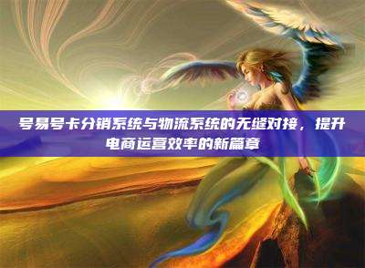 号易号卡分销系统与物流系统的无缝对接，提升电商运营效率的新篇章