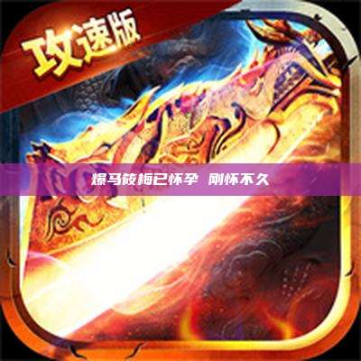 爆马筱梅已怀孕 刚怀不久
