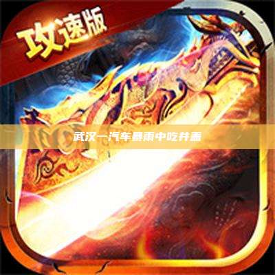 武汉一汽车暴雨中吃井盖