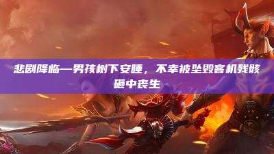 悲剧降临—男孩树下安睡，不幸被坠毁客机残骸砸中丧生