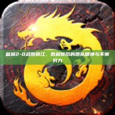盐城2-0战胜镇江，胜利背后的团队精神与不懈努力
