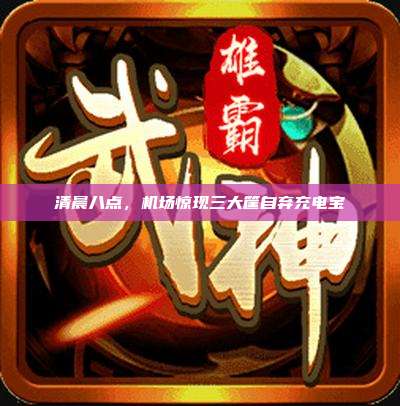 清晨八点,机场惊现三大筐自弃充电宝
