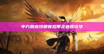 中方回应特朗普拟带企业团访华