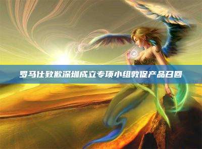 罗马仕致歉深圳成立专项小组敦促产品召回