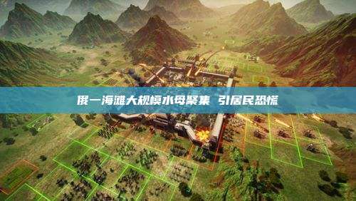 俄一海滩大规模水母聚集 引居民恐慌