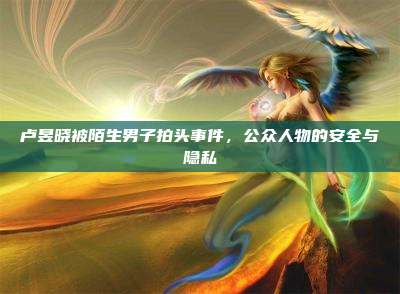 卢昱晓被陌生男子拍头事件,公众人物的安全与隐私