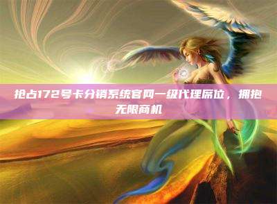 抢占172号卡分销系统官网一级代理席位,拥抱无限商机