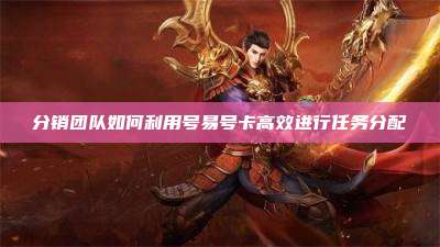 分销团队如何利用号易号卡高效进行任务分配