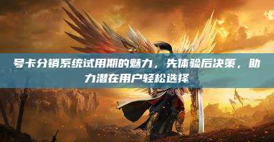 号卡分销系统试用期的魅力，先体验后决策，助力潜在用户轻松选择