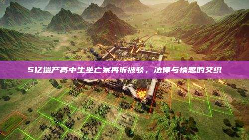 5亿遗产高中生坠亡案再诉被驳,法律与情感的交织