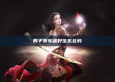 男子乘车遇野生东北豹