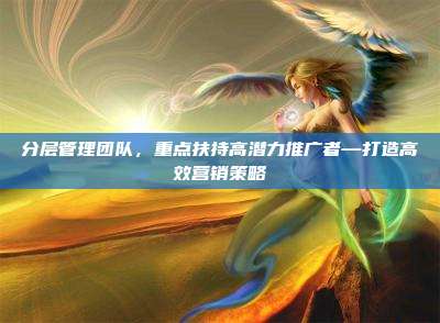 分层管理团队，重点扶持高潜力推广者—打造高效营销策略