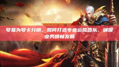 号易为号卡分销,如何打造专业运营团队,确保业务顺畅发展