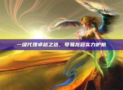 一级代理卓越之选,号易龙冠实力护航