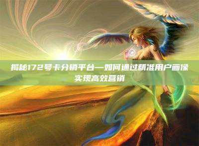 揭秘172号卡分销平台—如何通过精准用户画像实现高效营销