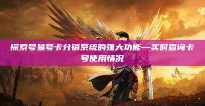 探索号易号卡分销系统的强大功能—实时查询卡号使用情况